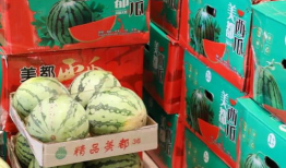 应城吃瓜最新事件爆料,揭秘背后惊人真相